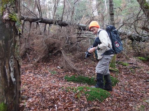 Dick gears up as we plan to head off trail and start bushwhacking up to Scar Ridge East Peak in the White Mountains of New Hampshire