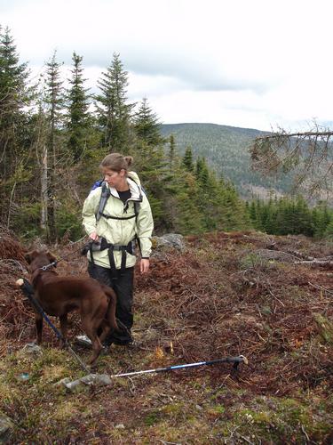 hiker near the summit of Scott Bog Peak on the New Hampshire - Quebec border swath