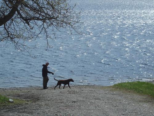 hiker-dog and master at Third Connecticut Lake near Scott Bog Peak in New Hampshire