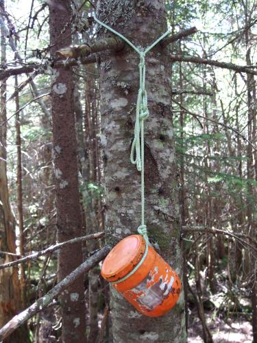 canister atop Scott Bog South Peak in northern New Hampshire