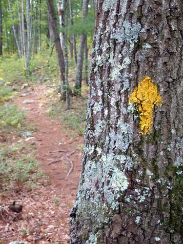 Phoebe Rock Loop trail in Cutter Woods at Pelham in southern New Hampshire