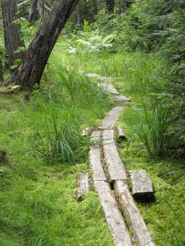 perimeter trail around Kidney Pond in Maine