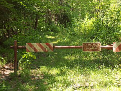 old road at Sentinel Mountain in New Hampshire