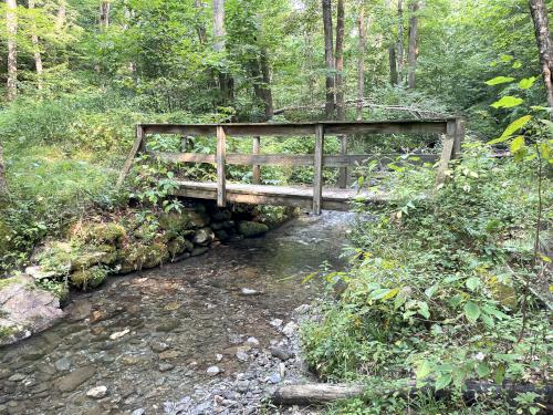 footbridge in August at Shaker Mountain in western MA