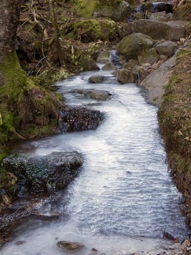 upper section of the Rattle River Trail to Shelburne Moriah Mountain in New Hampshire