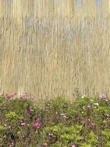 Pasture Song exhibit in October at Shelburne Museum in northwest Vermont