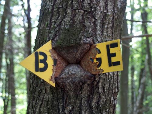 trail sign at Sherburne Nature Center in northeast Massachusetts