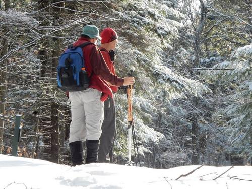 John and Fred near the southeast peak of Red Hill at Sheridan Woods in New Hampshire