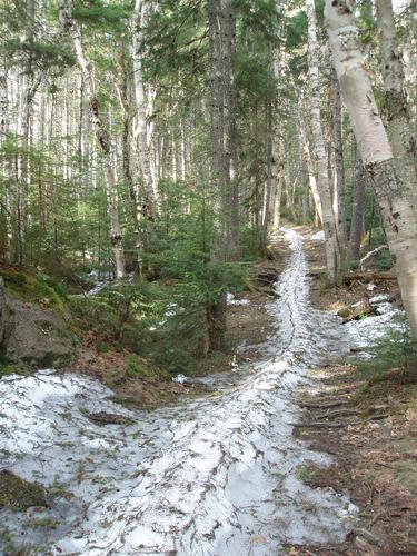 early-spring snow monorail on the Zealand Trail in New Hampshire