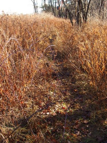 Old Orchard Trail at Silk Farm Audubon Center in southern New Hampshire