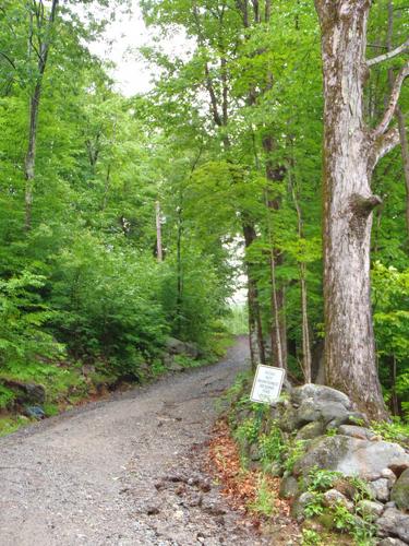 start of the hike to Silver Hill in New Hamsphire