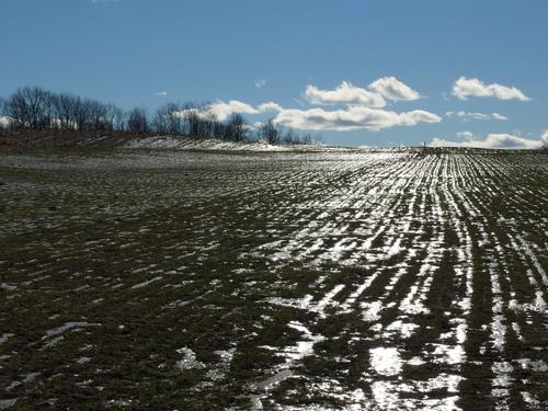 Woodmont West Orchard at Silver Lake State Park in southern New Hampshire