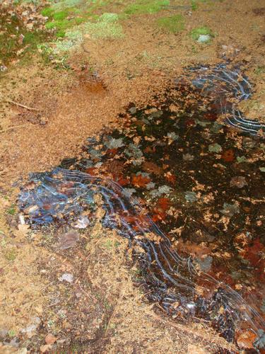 fall leaves under ice on Skatutakee Mountain in New Hampshire