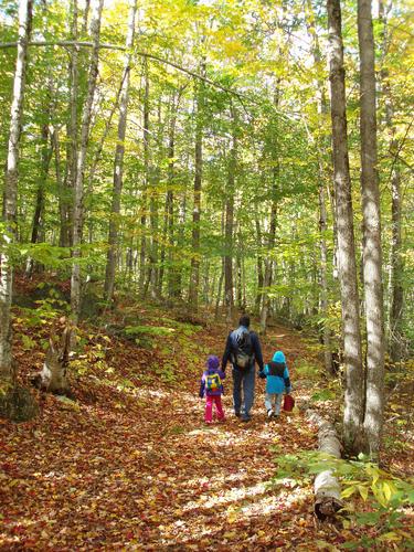 hikers on the trail to Thumb Mountain in New Hampshire