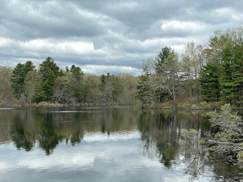 Duck Pond in May at Skinner Forest in northeast MA