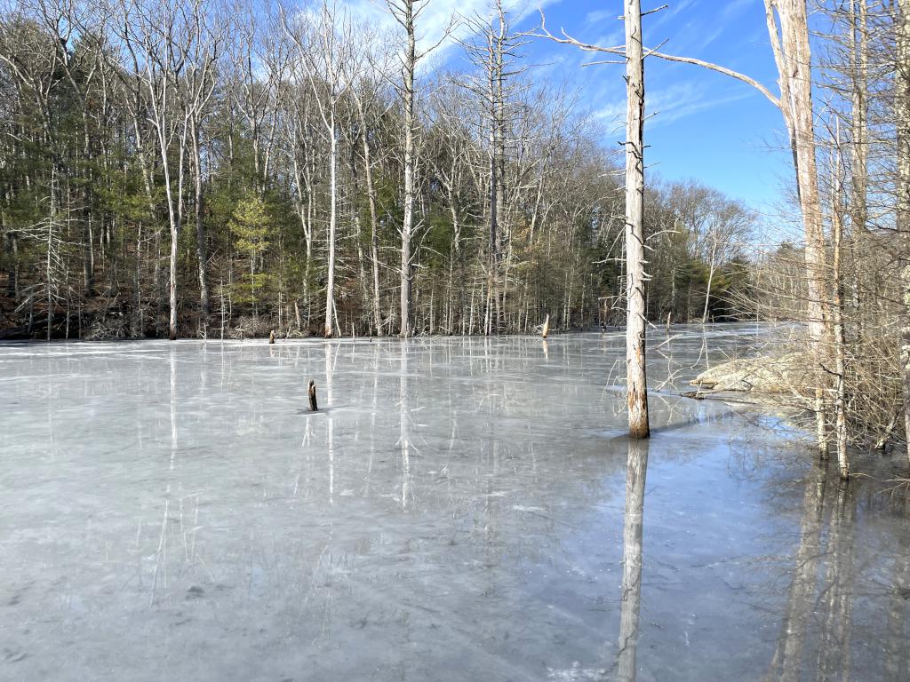 Skug River in February at Skug River Reservation in northeast MA