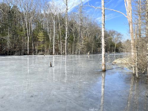 Skug River in February at Skug River Reservation in northeast MA