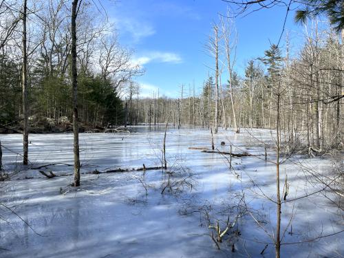 Skug River in February at Skug River Reservation in northeast MA