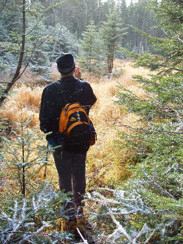 hiker and meadow on Sleeper Mountain in New Hampshire