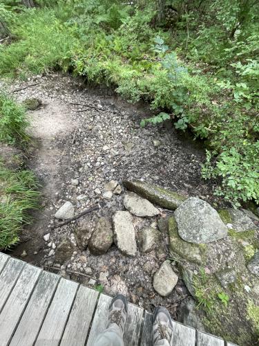 dry brook in August at Smith Preserve near Kennebunkport in southern Maine