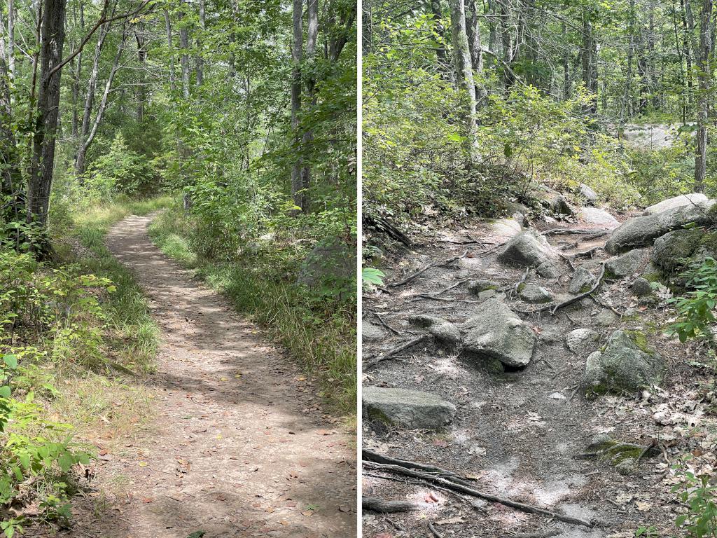 trail in August at Smith Preserve near Kennebunkport in southern Maine