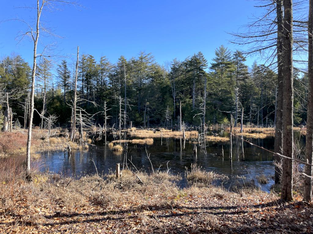 pond in December beside the woods on Smith Hill in New Hampshire