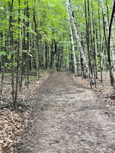 path in June at Snake Mountain in northern Vermont