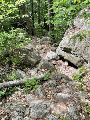 trail in May at Snows Mountain in New Hampshire