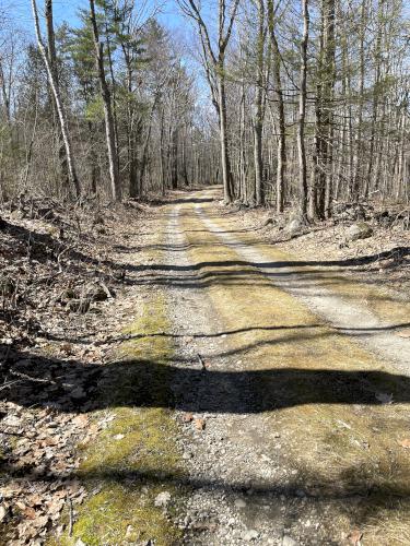 road walk in April at Soapstone Hill in central MA