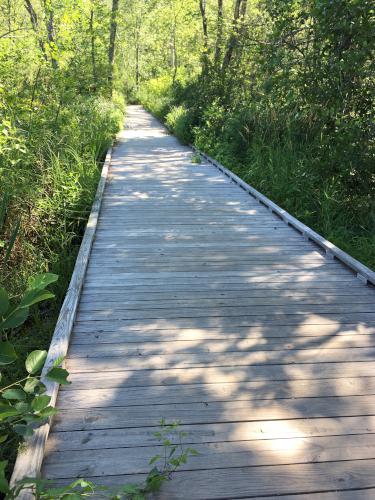 boardwalk at Southwest Trails in Nashua, New Hampshire