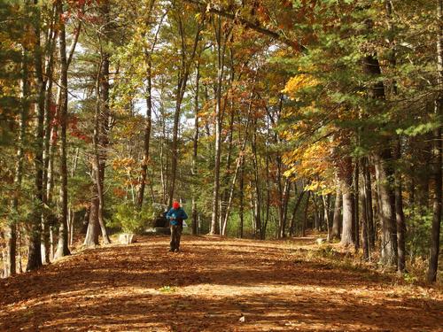 Dick walks a path beside Lovewells Pond, part of Southwest Trails at Nashua, New Hampshire