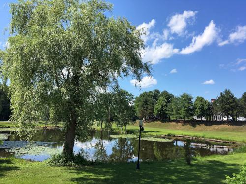 pond in July in Maplewood Commerce Center at Southwest Trails in Nashua, New Hampshire