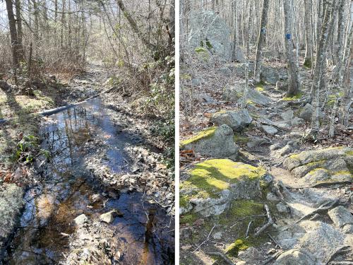 difficult trail sections in February at South Woods in northeast MA