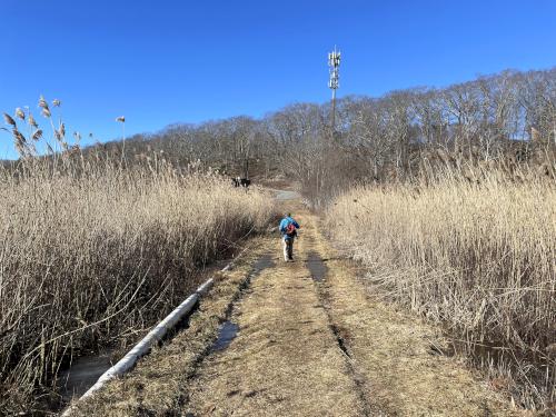 trail across Cape Pond in February at South Woods in northeast MA