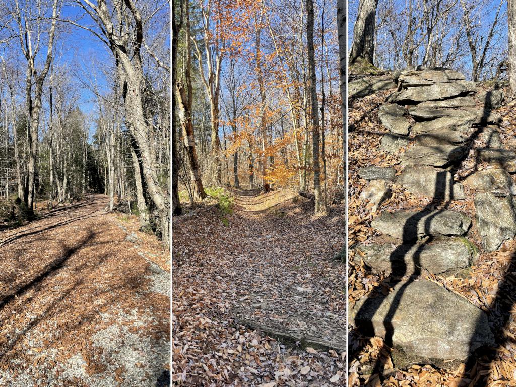 Busby Trail in November at Spruce Hill in northwest Massachusetts