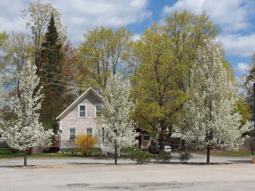 house and yard in April near Squannacook Rail Trail North in northeast Massachusetts