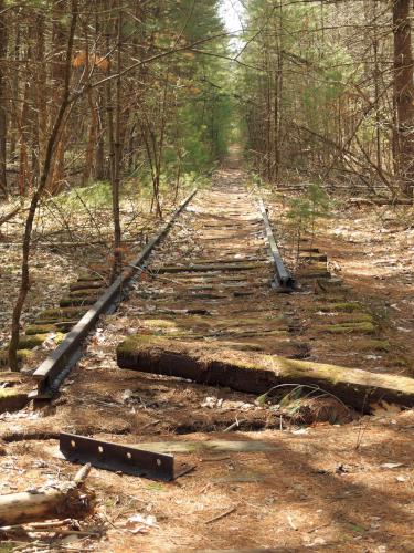 unimproved south section (in April 2021) of the Squannacook Rail Trail South in northeast MA