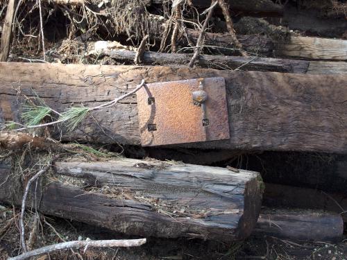 railroad cross ties in April at Squannacook Rail Trail South in northeast Massachusetts