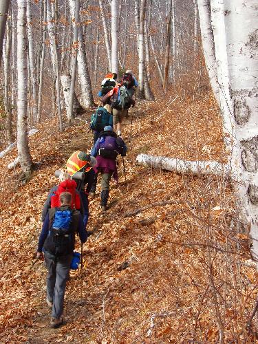 hikers on the trail to Stairs Mountain in New Hampshire