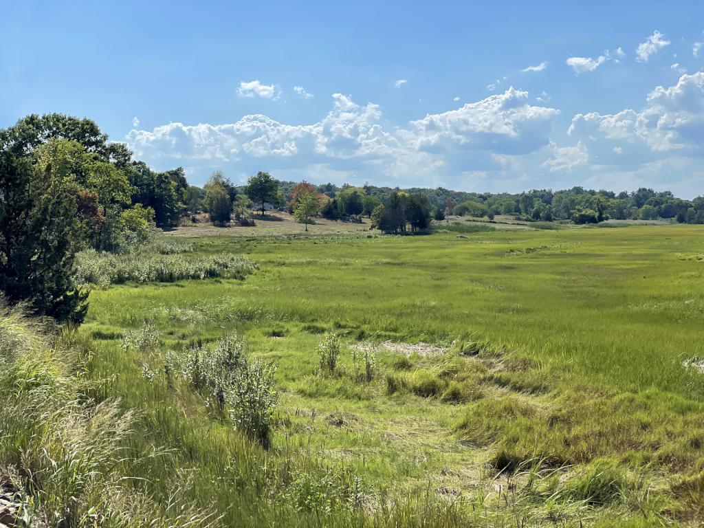 view in August from Island Road near Stavros Reservation near Essex in northeast Massachusetts