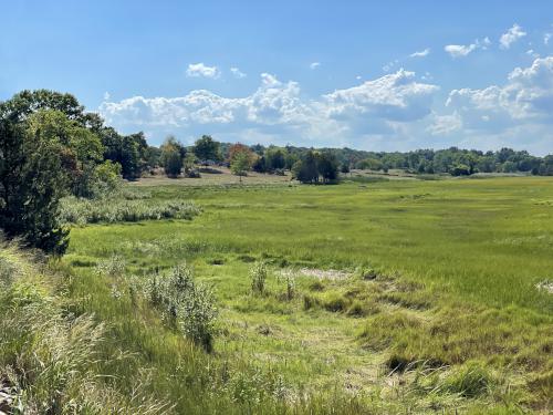 view in August from Island Road near Stavros Reservation near Essex in northeast Massachusetts