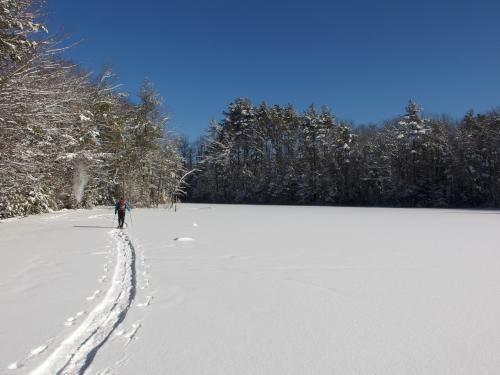 Dick snowshoes in January at Stearns-Lamont Forest near Rindge in southern New Hampshire