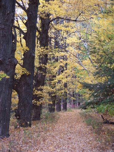 trail at Osgood Hill at North Andover in Massachusetts