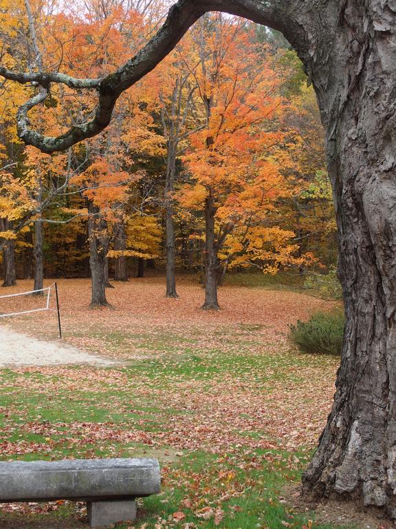 lawn and trees at the Stevens Estate on Osgood Hill at North Andover in Massachusetts