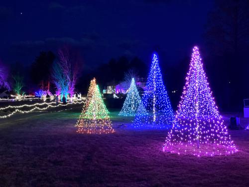 trees in December at Stevens-Coolidge House & Gardens in northeast MA