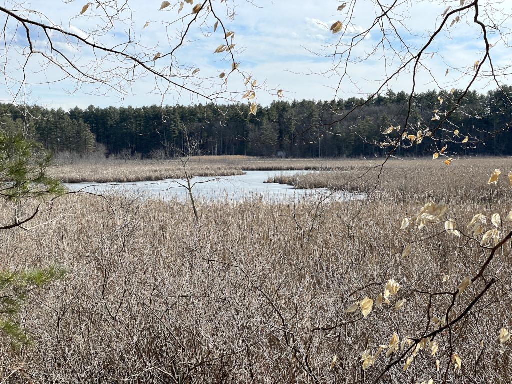 Stony Brook in February at Stone Arch Bridge near Westford in northeast MA