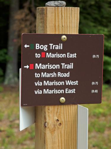 trail-junction sign at Stonehouse Forest in southeastern New Hampshire