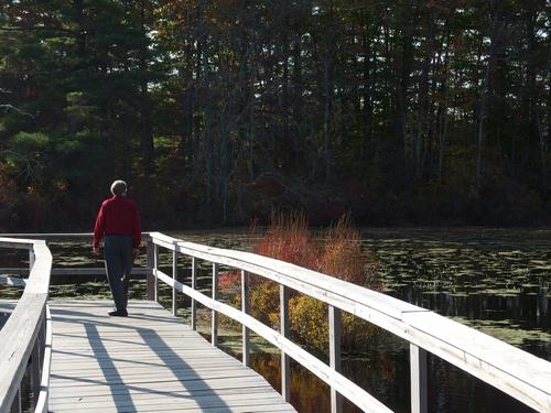 visitor on the boardwalk at Stony Brook Wildlife Sanctuary in Massachusetts