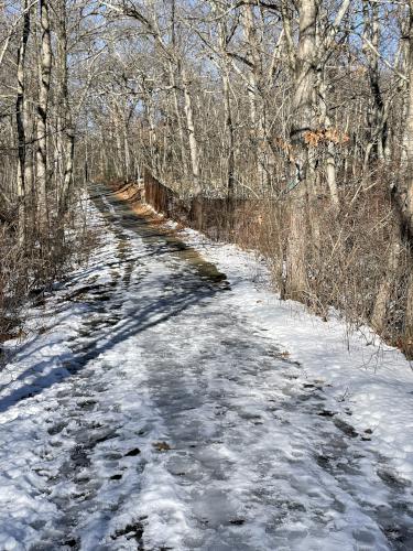 trail in January at Stony Brook Reservation in eastern Massachusetts