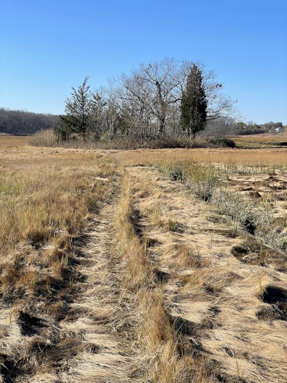 path in November to Baker's Island at Strawberry Hill in northeast Massachusetts